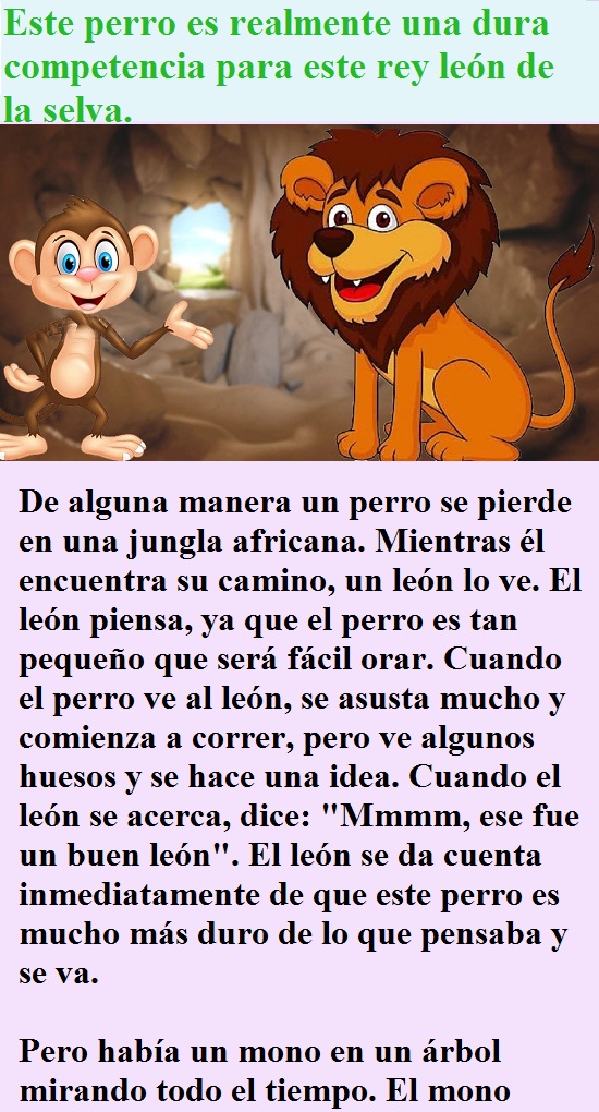 Este perro es realmente una dura competencia para este rey león de la selva.