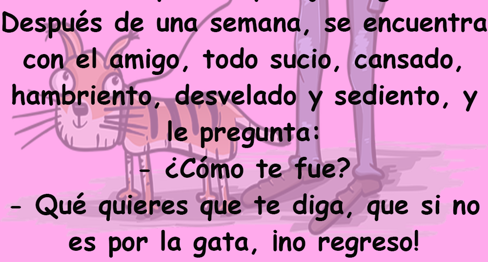 Un hombre abandona a un gato