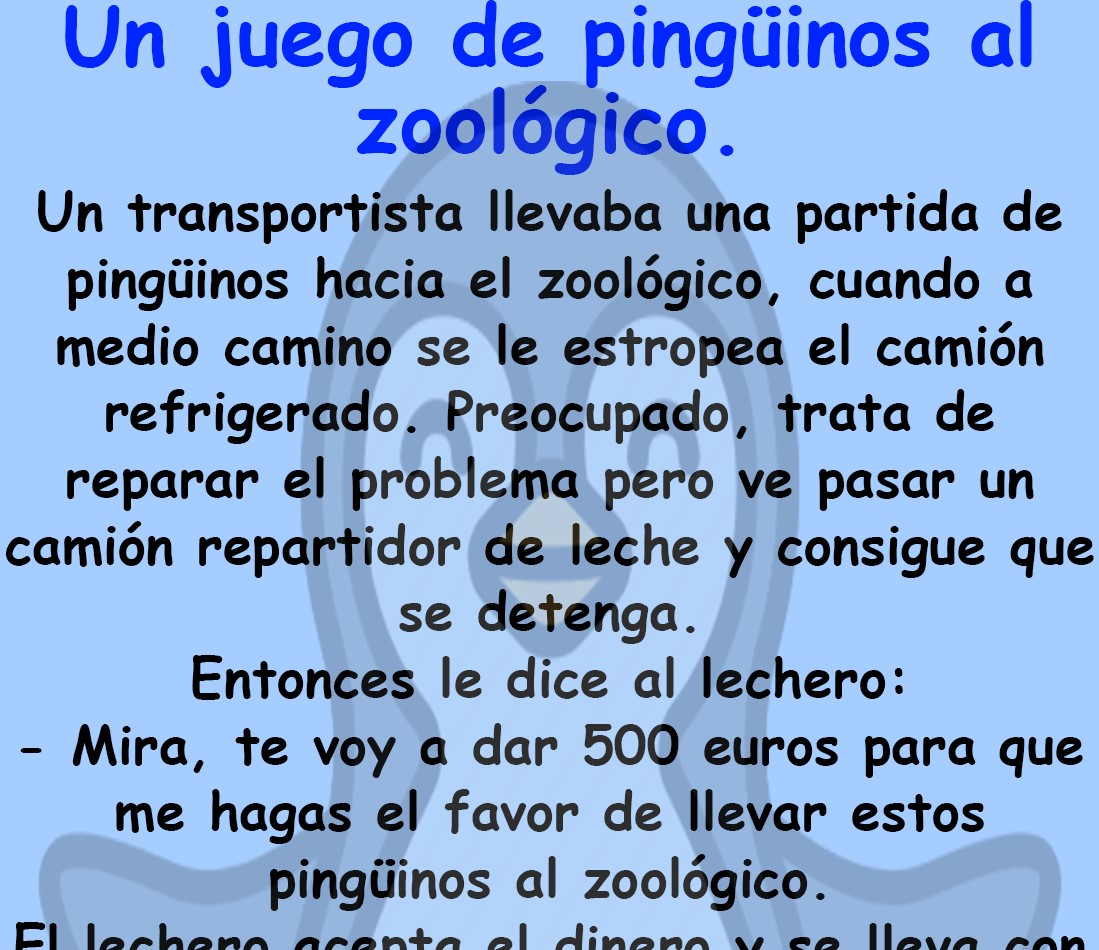 Un juego de pingüinos al zoológico