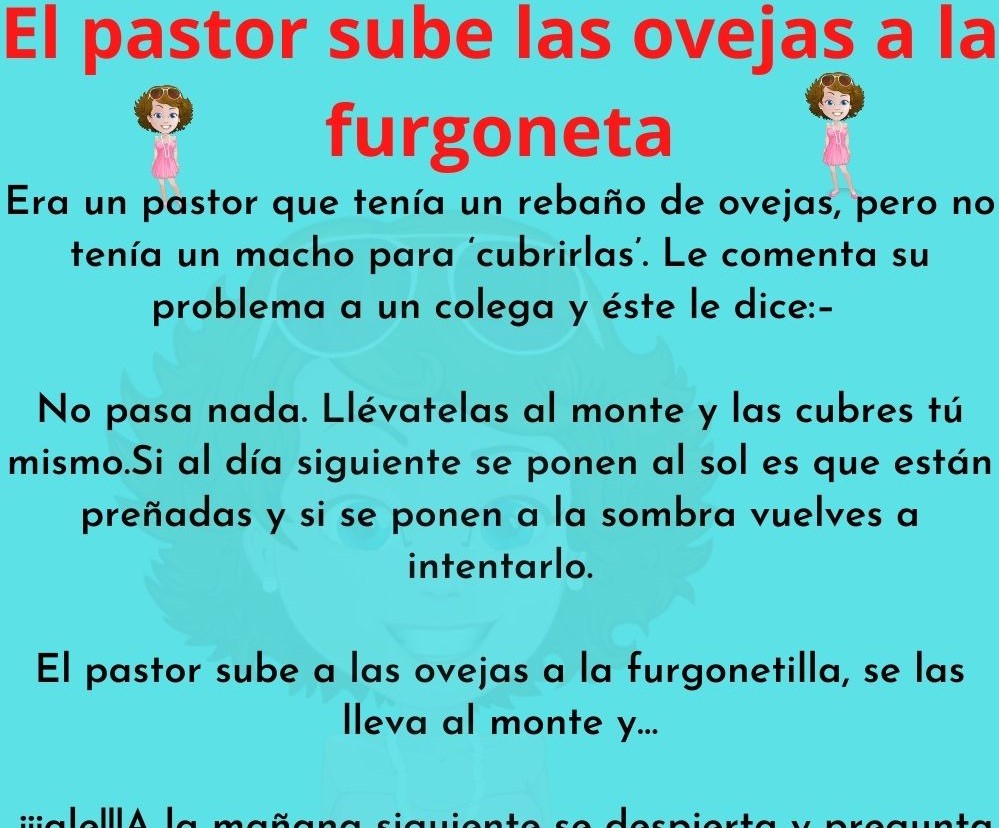 El pastor sube las ovejas a la furgoneta