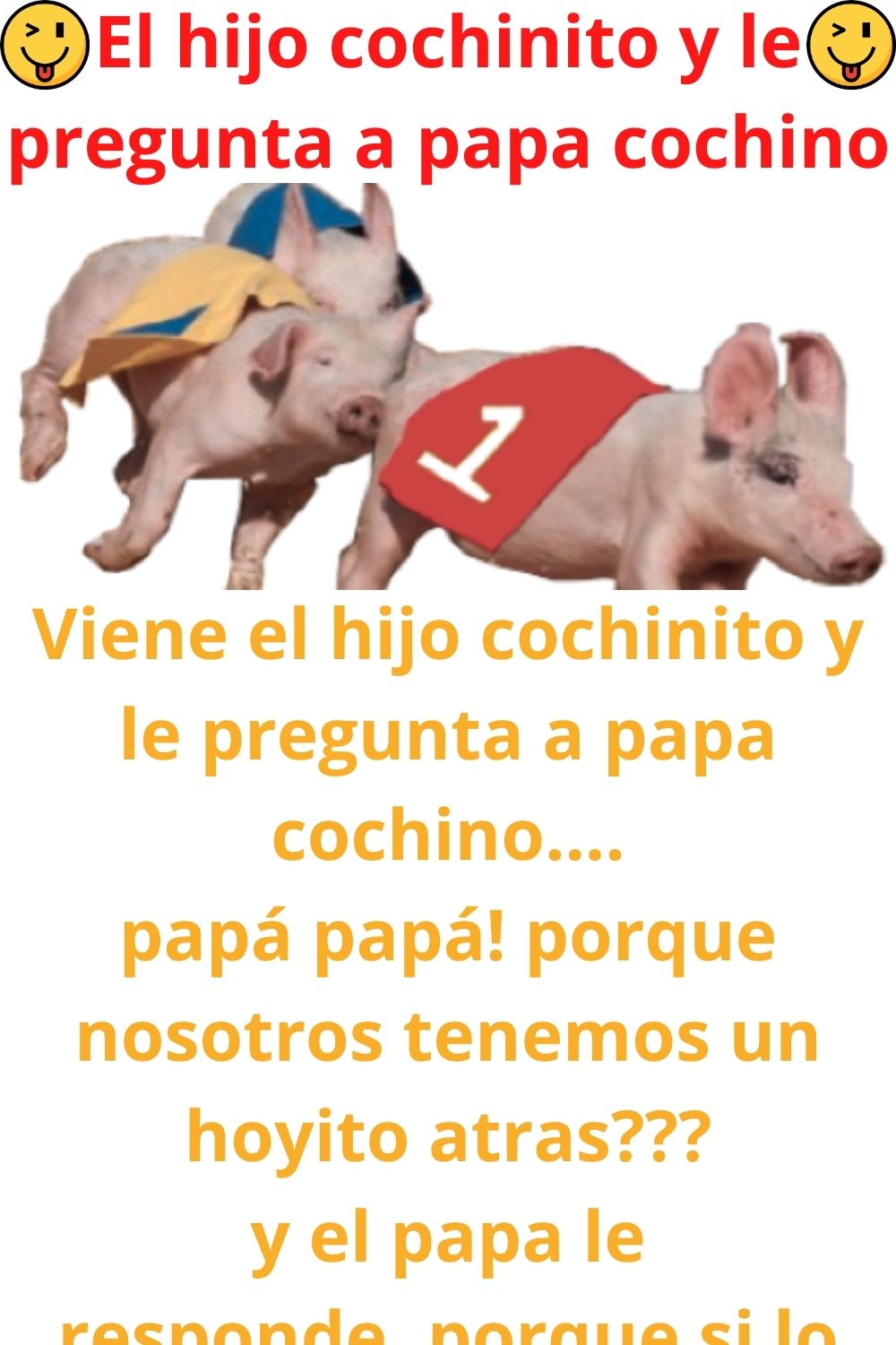 El hijo cochinito y le pregunta a papa cochino