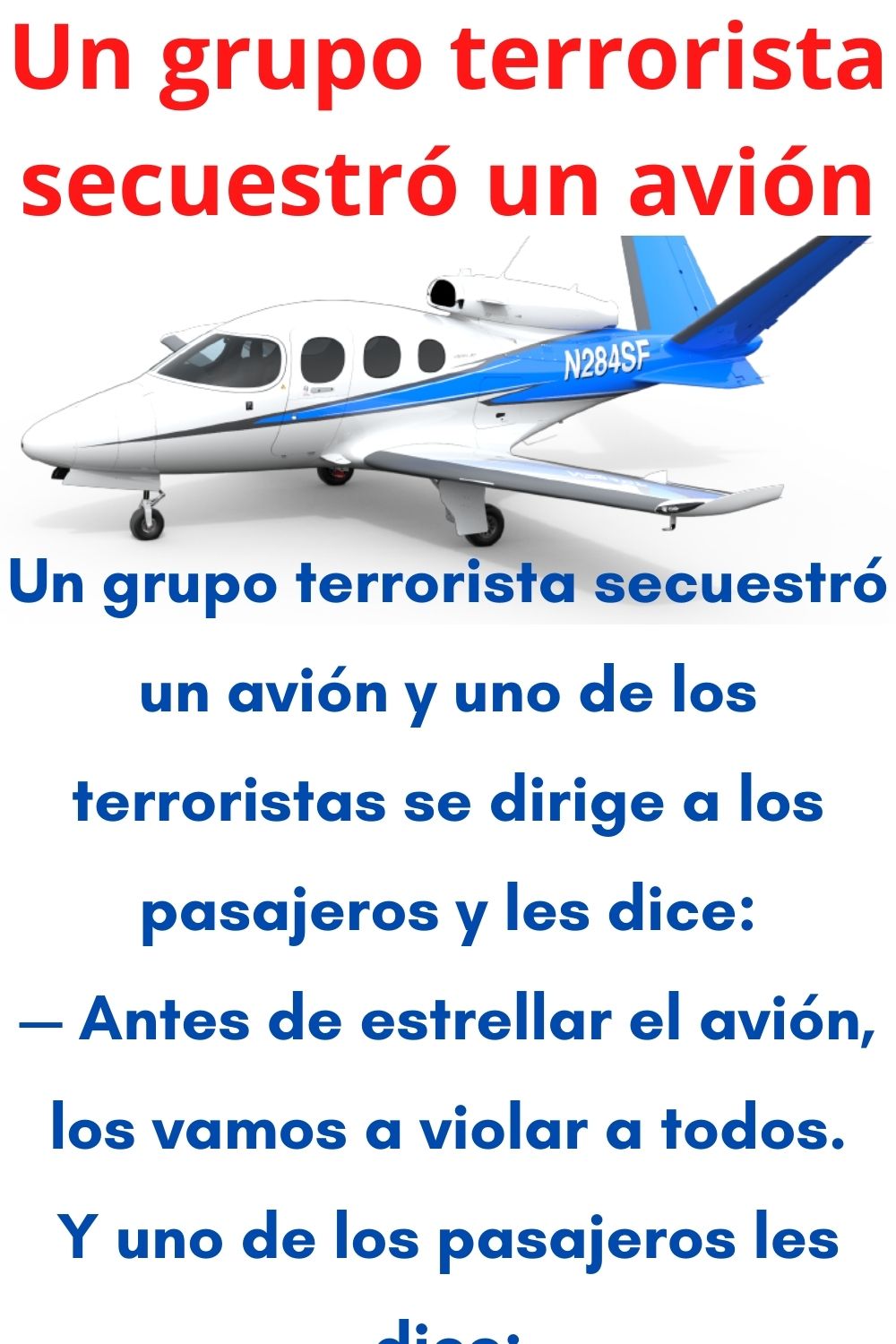 Un grupo terrorista secuestró un avión