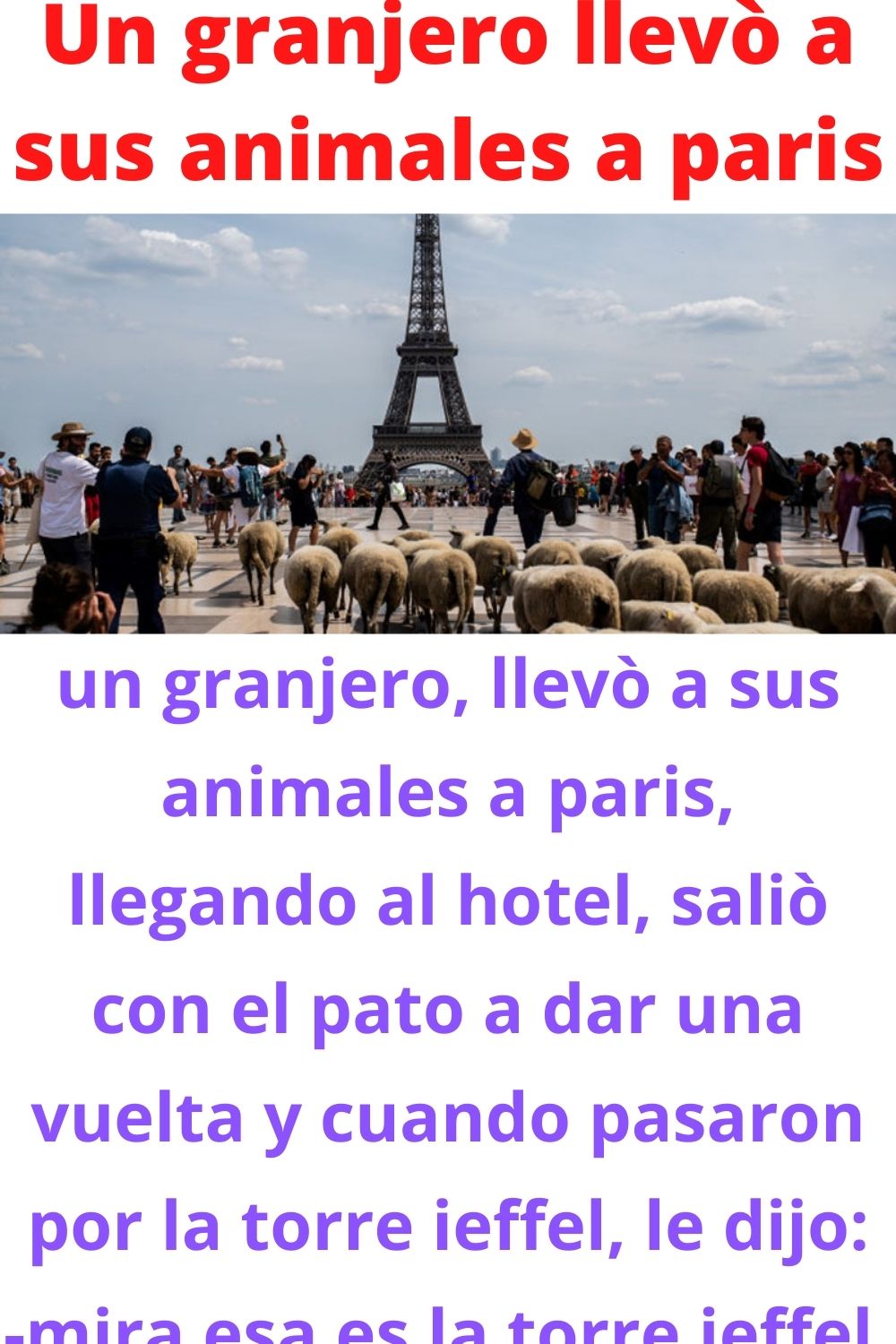 Un granjero llevò a sus animales a paris