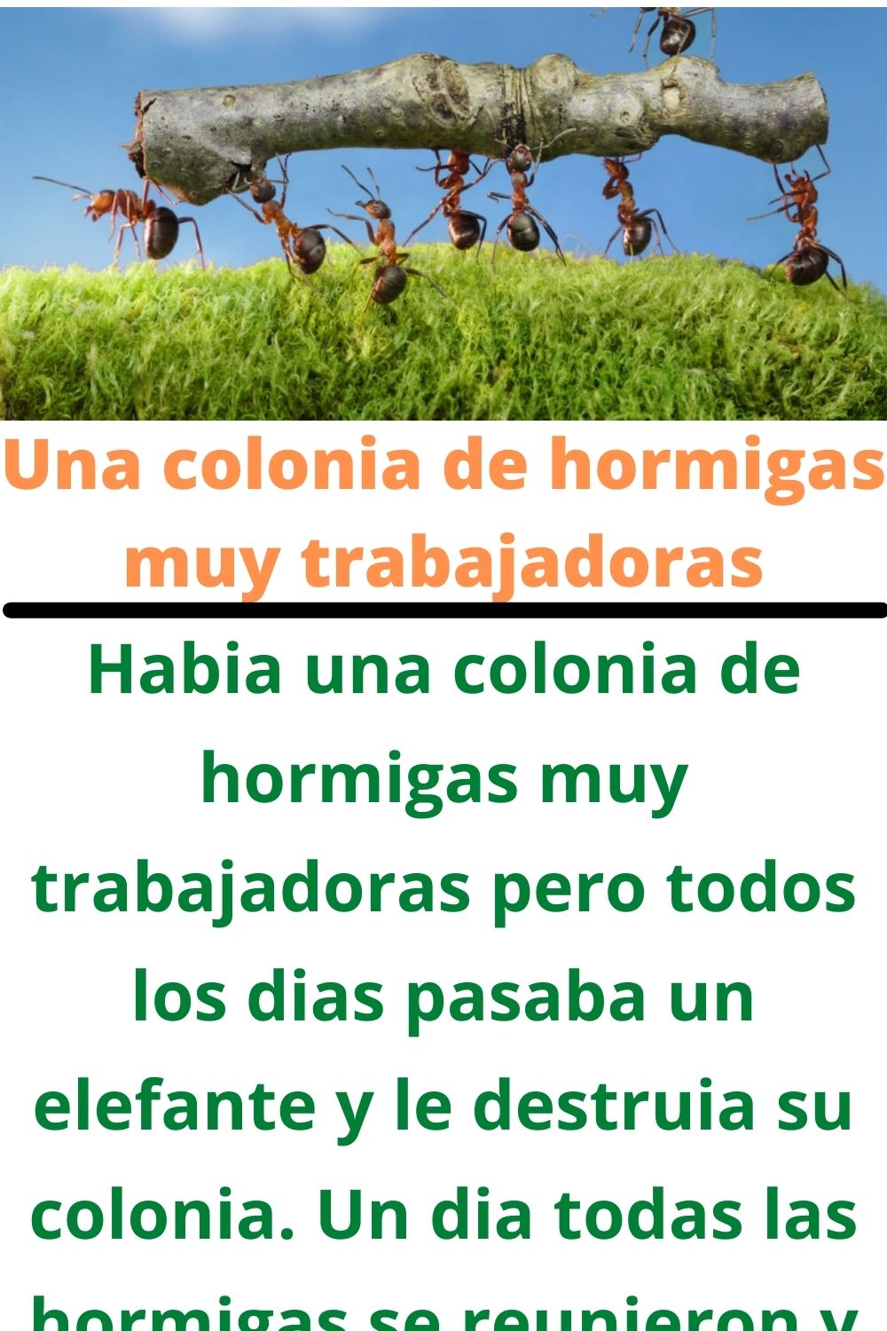 Una colonia de hormigas muy trabajadoras